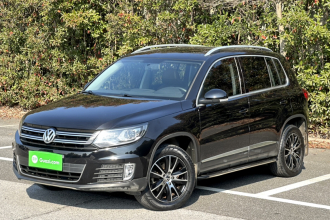 大众 途观 2013款 1.8TSI 自动两驱豪华型