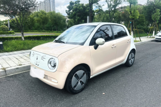 欧拉黑猫 2022款 301km 萌宠版 磷酸铁锂