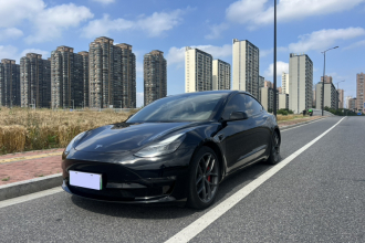 特斯拉 Model 3 2021款 改款二 Performance高性能全轮驱动版