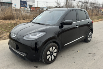 五菱汽车 五菱缤果 2023款 203km 舒享款