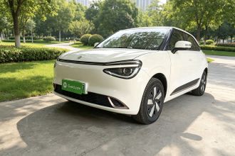 东风纳米 纳米01 2025款 330 青春版