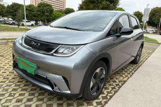 比亚迪 海豚 2024款 荣耀版 420km 自由版