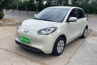 五菱汽车 五菱缤果 2023款 203km 轻享款