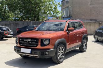 哈弗大狗 2021款 1.5T DCT两驱边牧版