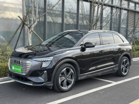 奥迪Q5 e-tron 2023款 40 e-tron 星耀型 锦衣套装