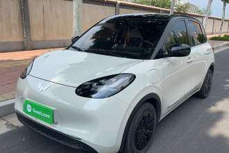 五菱汽车 五菱缤果 2024款 333km 悦享款