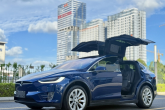 特斯拉 Model X 2019款 长续航版