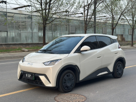 比亚迪 海鸥 2025款 305km 活力版