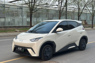 比亚迪 海鸥 2025款 305km 活力版