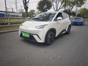 比亚迪 海鸥 2024款 荣耀版 305km 自由版