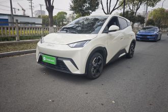 比亚迪 海鸥 2024款 荣耀版 305km 自由版