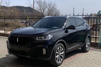 魏牌 VV6 2018款 2.0T 两驱超豪型 国V