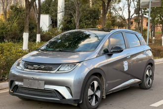 比亚迪 海豚 2023款 420km 时尚版