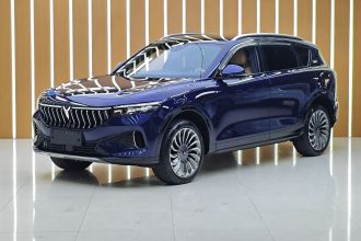 岚图汽车 岚图FREE 2021款 四驱标准增程专属豪华套装