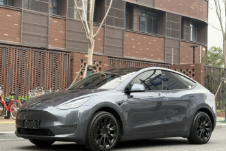 特斯拉 Model Y 2021款 长续航全轮驱动版