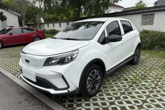 吉利几何 EX3 功夫牛 2021款 坚强牛牛