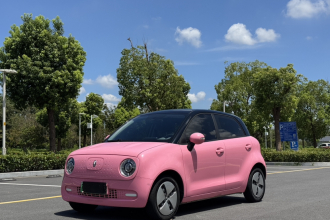 欧拉黑猫 2022款 301km 萌宠版 磷酸铁锂
