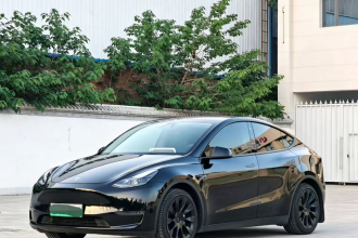 特斯拉 Model Y 2021款 标准续航后驱版