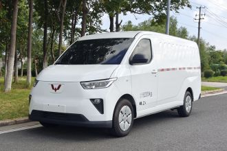 五菱汽车 五菱扬光 2024款 300km 舒适型封窗版 60kW