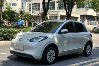 五菱汽车 五菱缤果 2024款 203km 轻享款