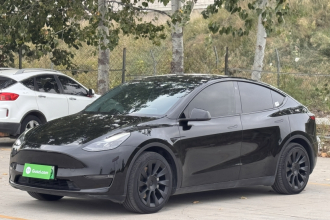 特斯拉 Model Y 2021款 标准续航后驱版