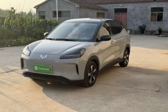 五菱汽车 五菱缤果PLUS 2024款 401km 五座版