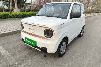 吉利银河 2024款 熊猫mini 200km 耐力熊