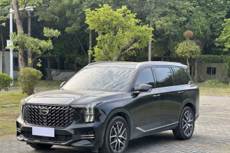 广汽传祺 传祺GS8 2025款 领航系列 2.0TGDI 两驱豪华版 5座