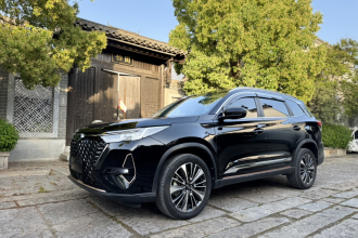 奇瑞 瑞虎8 PRO 2024款 冠军版 390T 两驱傲视版 7座