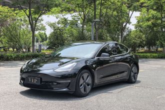 特斯拉 Model 3(进口) 2019款 长续航后驱版
