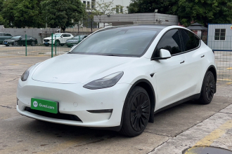 特斯拉 Model Y 2021款 长续航全轮驱动版