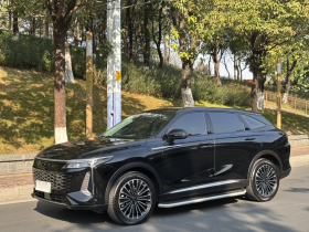 星途 瑶光C-DM 2024款 1.5T 长续航Pro