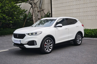 魏牌 VV6 2019款 2.0T 两驱超豪型 国VI