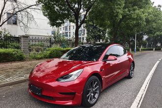 特斯拉 Model 3 2021款 改款 标准续航后驱升级版 3D1