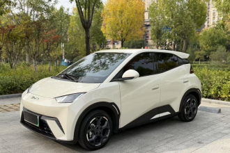 比亚迪 海鸥 2025款 305km 自由版