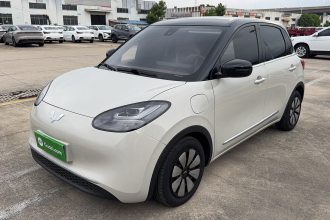 五菱汽车 五菱缤果 2023款 333km 悦享+款