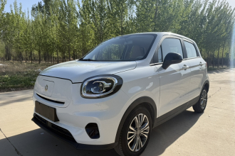 零跑汽车 零跑T03 2024款 310舒享版