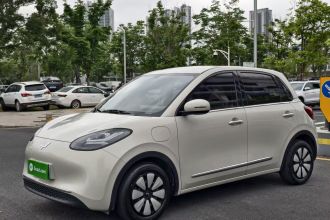 五菱汽车 五菱缤果 2024款 333km 悦享款