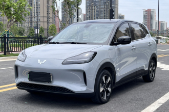 五菱汽车 五菱缤果PLUS 2024款 510km 旗舰版 四座版