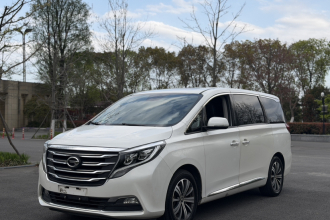 广汽传祺 传祺M8 2020款 390T 尊贵版