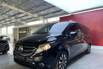 奔驰 威霆 2021款 2.0T 商务版 7座