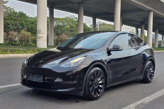 特斯拉 Model Y 2022款 Performance高性能全轮驱动版
