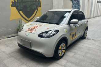 五菱汽车 五菱缤果 2024款 203km 轻享款