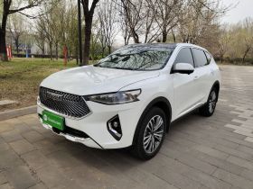 哈弗F7 2021款 2.0T 两驱i动