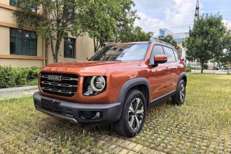 哈弗大狗 2021款 1.5T DCT两驱拉布拉多版