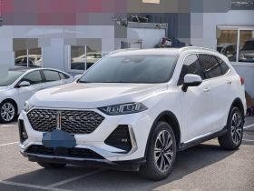 魏牌 拿铁DHT 2022款 1.5T DHT大杯