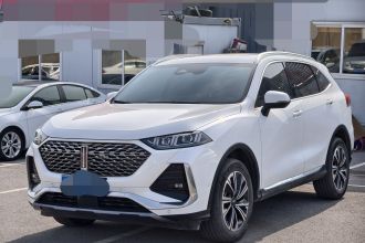 魏牌 拿铁DHT 2022款 1.5T DHT大杯