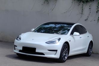 特斯拉 Model 3 2020款 标准续航后驱升级版