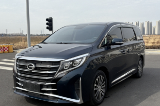 广汽传祺 传祺M8 2023款 领秀系列 390T 尊贵版