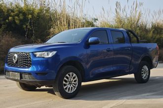 长城 炮 2019款 2.0T商用版手动柴油两驱精英型长箱GW4D20M